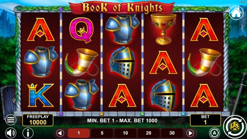 Book Of Knights