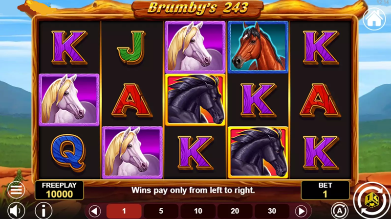 Brumby S 243