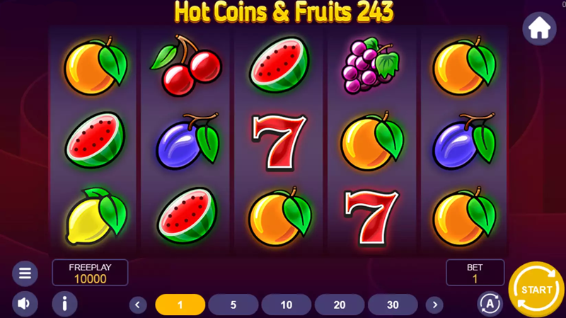 Hot Coins Fruits 243