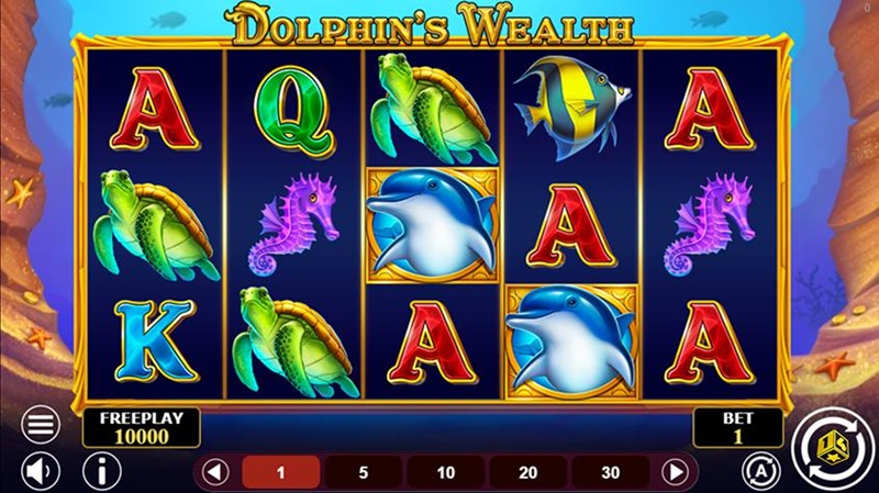 Dolphin S Wealth