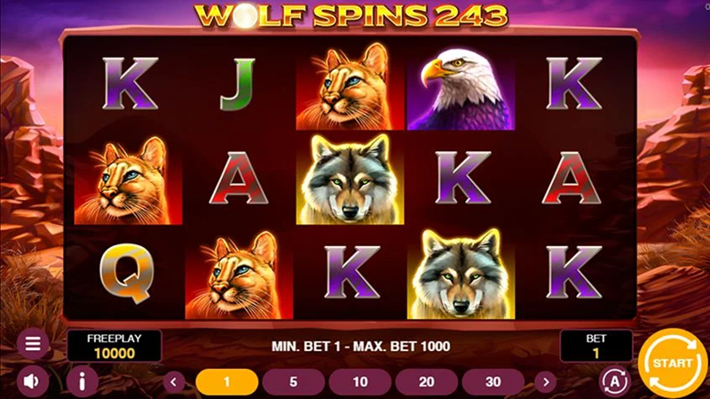 Wolf Spins 243